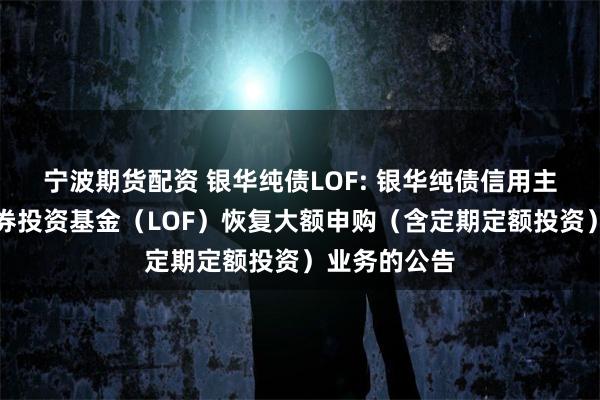 宁波期货配资 银华纯债LOF: 银华纯债信用主题债券型证券投资基金(LOF)恢复大额申购(含定期定额投资)业务的公告