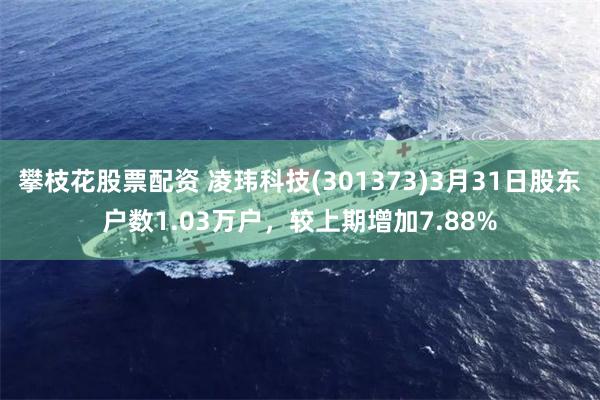 攀枝花股票配资 凌玮科技(301373)3月31日股东户数1.03万户，较上期增加7.88%