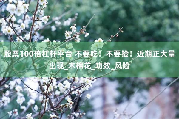 股票100倍杠杆平台 不要吃！不要捡！近期正大量出现_木棉花_功效_风险