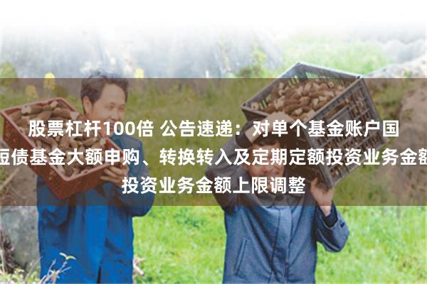 股票杠杆100倍 公告速递：对单个基金账户国金及第中短债基金大额申购、转换转入及定期定额投资业务金额上限调整
