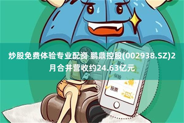 炒股免费体验专业配资 鹏鼎控股(002938.SZ)2月合并营收约24.63亿元