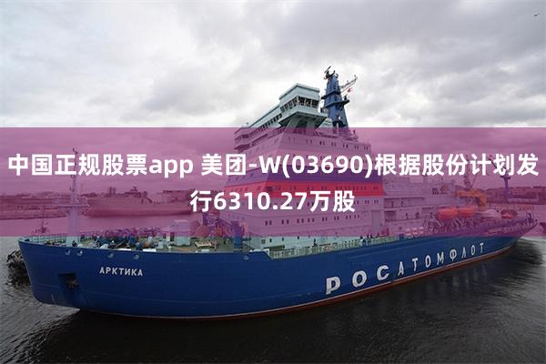 中国正规股票app 美团-W(03690)根据股份计划发行6310.27万股