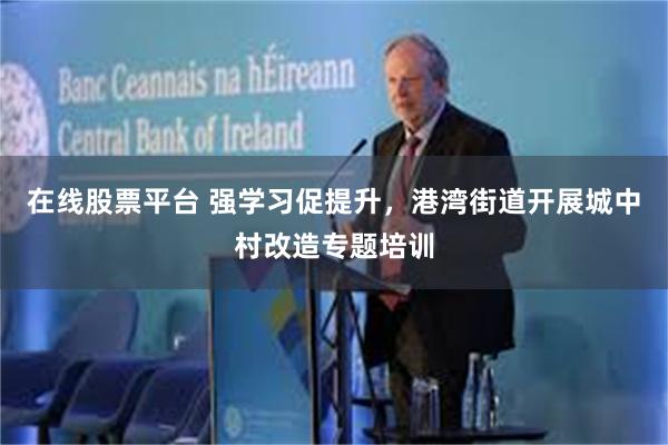 在线股票平台 强学习促提升，港湾街道开展城中村改造专题培训