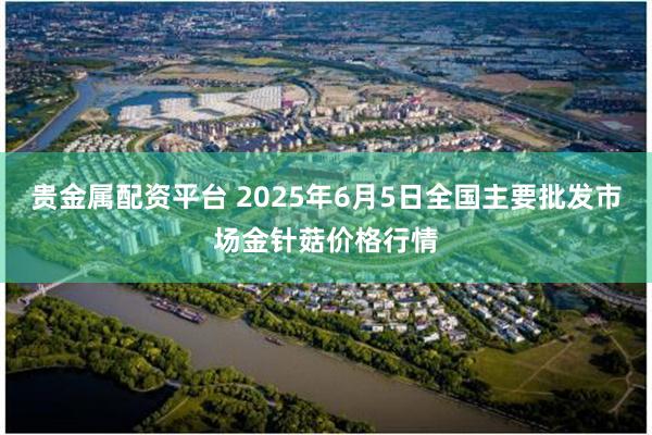 贵金属配资平台 2025年6月5日全国主要批发市场金针菇价格行情