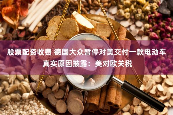 股票配资收费 德国大众暂停对美交付一款电动车 真实原因披露：美对欧关税