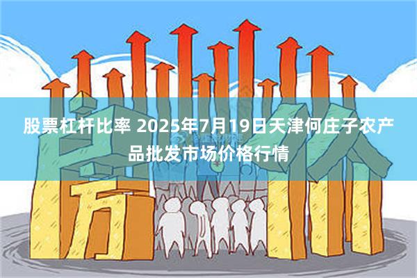 股票杠杆比率 2025年7月19日天津何庄子农产品批发市场价格行情