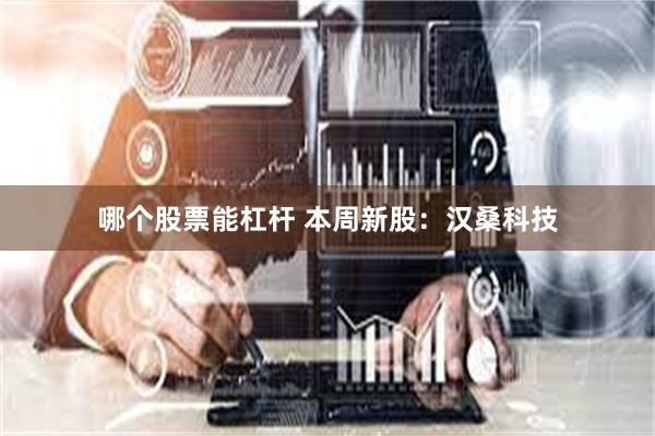 哪个股票能杠杆 本周新股：汉桑科技