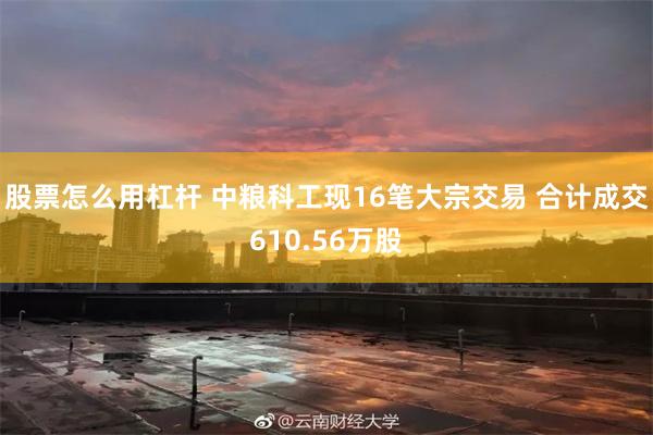 股票怎么用杠杆 中粮科工现16笔大宗交易 合计成交610.56万股