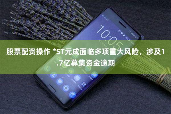 股票配资操作 *ST元成面临多项重大风险，涉及1.7亿募集资金逾期