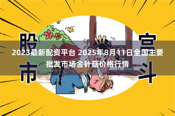 2023最新配资平台 2025年8月11日全国主要批发市场金针菇价格行情