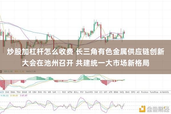 炒股加杠杆怎么收费 长三角有色金属供应链创新大会在池州召开 共建统一大市场新格局