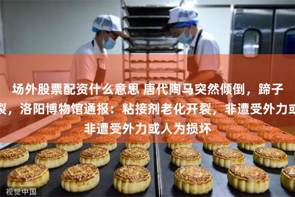 场外股票配资什么意思 唐代陶马突然倾倒，蹄子等部位碎裂，洛阳博物馆通报：粘接剂老化开裂，非遭受外力或人为损坏